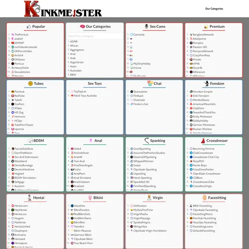 About KinkMeister